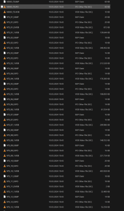 Screenshot 2024-03-10 162441.png