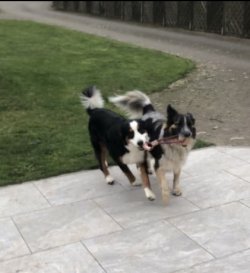 1710090768422.jpeg