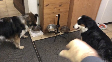 1710091061627.jpeg