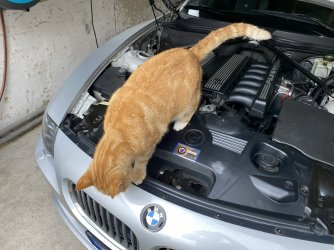 IMG_9898.jpeg