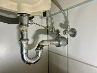 IMG_0380.jpeg