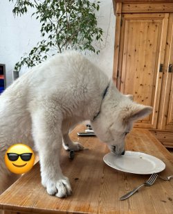 IMG_4946.jpeg