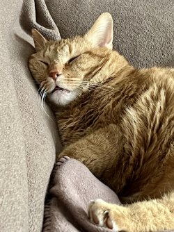 IMG_0398.jpeg