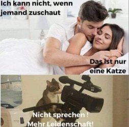 5642622-ef5c7974eb5a8efa8b5f6f551ec7add6.jpg