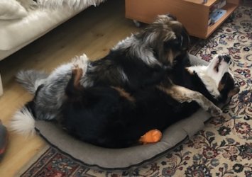 1710512879379.jpeg