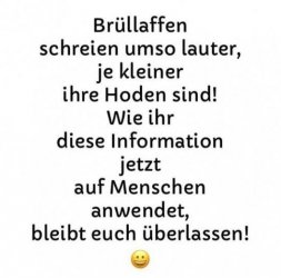 431481668_427111189702999_7655407579418282438_n.jpg