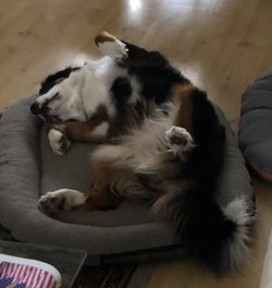 1711270547303.jpeg