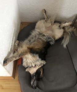 1711270569785.jpeg