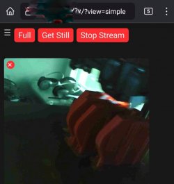 20240326_075528-01.jpeg