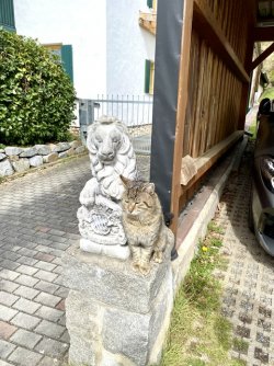 IMG_8278.jpeg