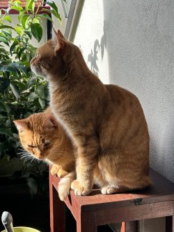 IMG_3990.jpeg