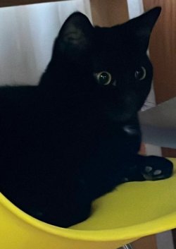 IMG_5148.jpeg