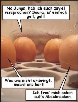 IMG_6584.jpeg