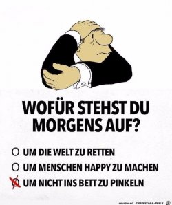 WhatsApp Bild 2024-04-01 um 19.44.00_aa5c7e4b.jpg