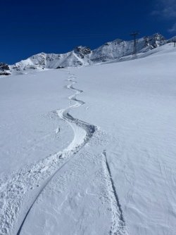 IMG_2973.jpg