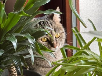 IMG_4004.jpeg