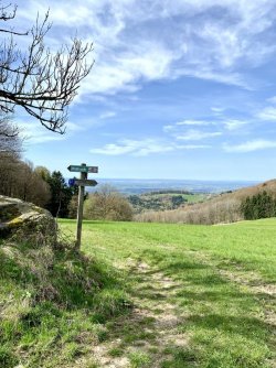 IMG_8330.jpeg
