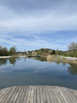 IMG_8323.jpeg
