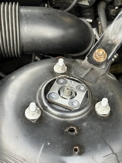 IMG_9591.jpeg