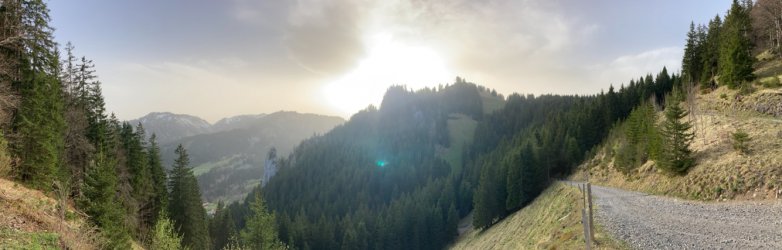 IMG_6492.jpeg IMG_6492.jpeg