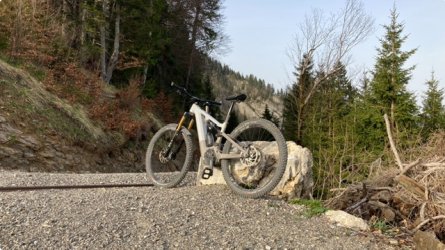 IMG_6493.jpeg IMG_6493.jpeg