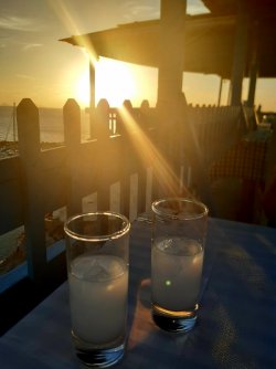 20231011_182254 (600x800).jpg