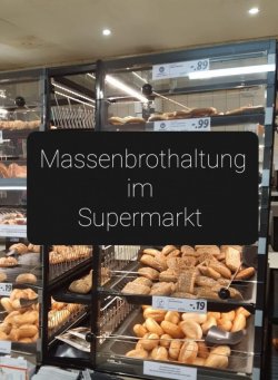 IMG_6772.jpeg