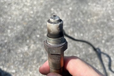 IMG_3826.jpeg IMG_3826.jpeg