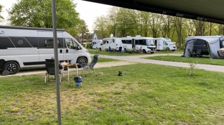 IMG_5806.jpeg