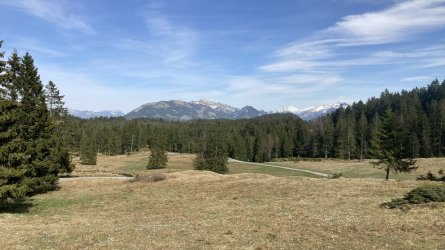 IMG_6579.jpeg IMG_6579.jpeg