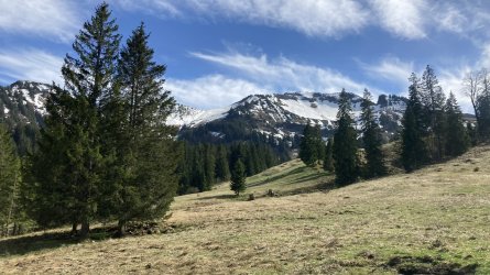 IMG_6580.jpeg IMG_6580.jpeg