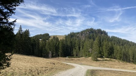 IMG_6581.jpeg IMG_6581.jpeg