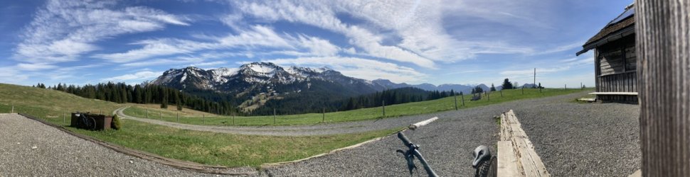 IMG_6582.jpeg IMG_6582.jpeg