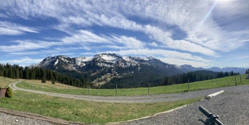 IMG_6583.jpeg IMG_6583.jpeg