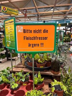 IMG_6883.jpeg
