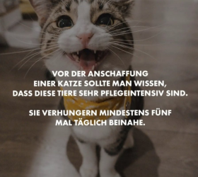 1713705779806.png