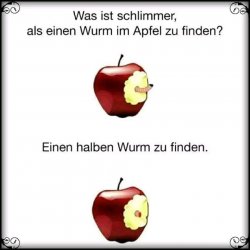 IMG_6946.jpeg