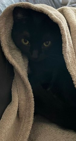 IMG_5352.jpeg