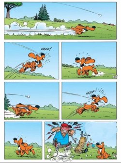 1000008941.jpg