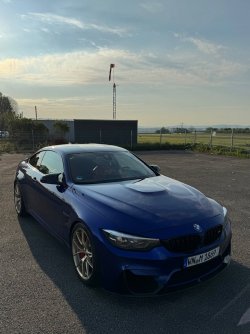 IMG_7481.jpeg