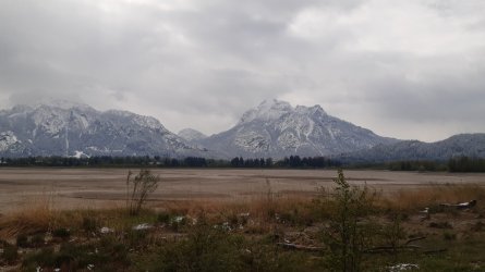 20240424_104957.jpg