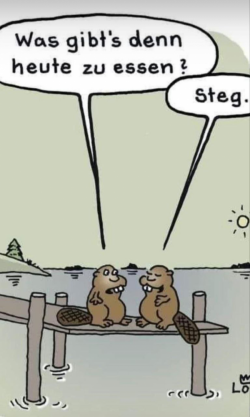 1714327776372.png