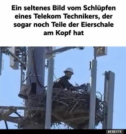 c966e63e448992bdda67df54c97d54296383.jpg