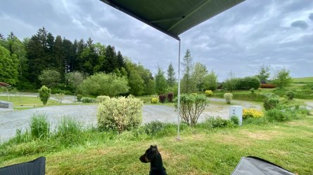 IMG_5816.jpeg