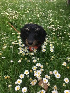 IMG_6871.jpeg