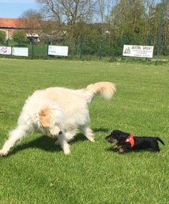 IMG_6859 2.jpeg