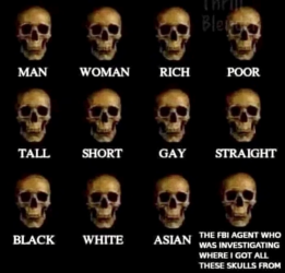 1714806328265.png