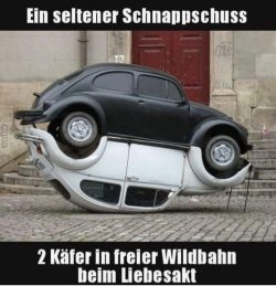 WhatsApp Bild 2024-05-07 um 16.55.57_c953cb5e.jpg