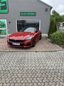 IMG_0224.jpeg