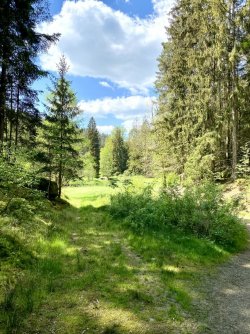 IMG_8486.jpeg
